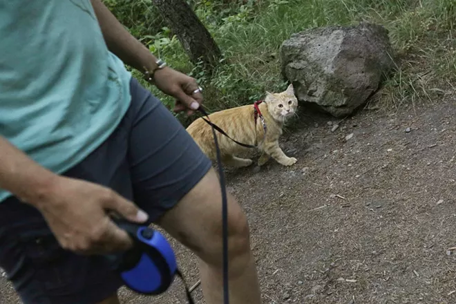 Image: 2018 Pet Issue