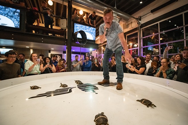 A Night at the Turtle Races
