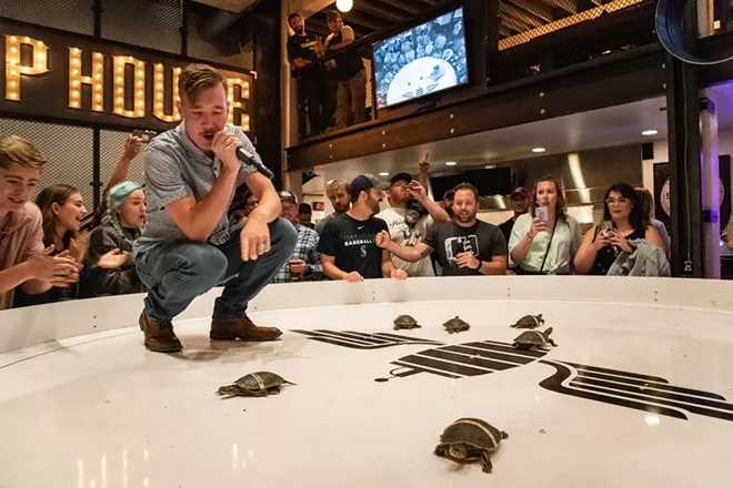 Image: A Night at the Turtle Races