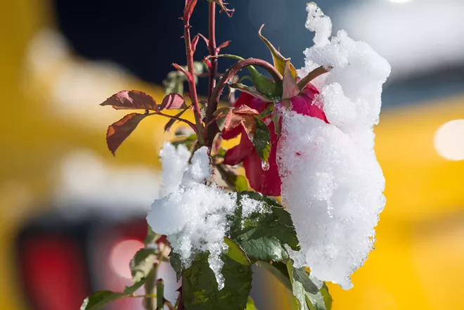 Image: Scenes from the Oct. 9 snow day