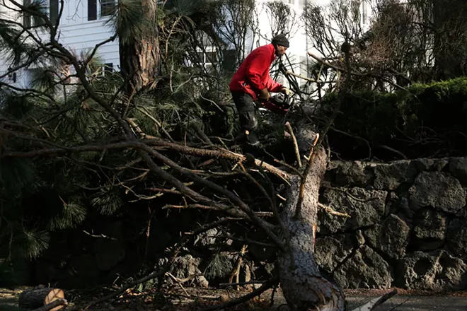Image: Scenes from Windstorm 2015