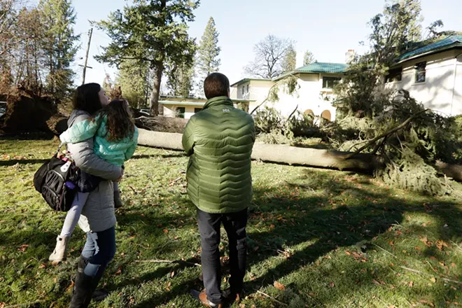 Image: Scenes from Windstorm 2015