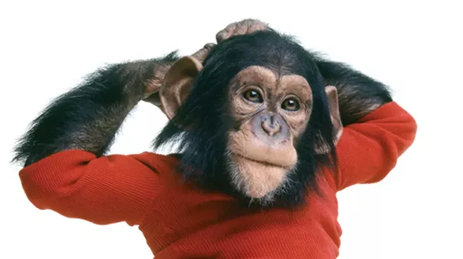 Image: Welcome to the Monkey House