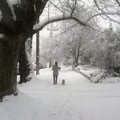 Image: What you need to know about snow