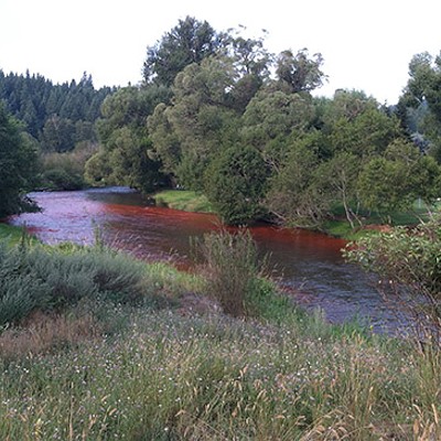 Why the Little Spokane River looks red