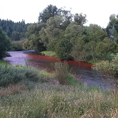 Image: Why the Little Spokane River looks red