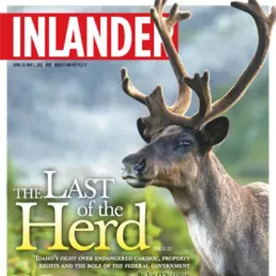 Image: Why we wrote about caribou this week