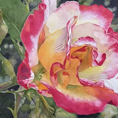 Image: 2025 Spokane Watercolor Society Signature Members Show