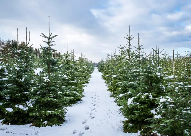 adobestock_472039030.webp