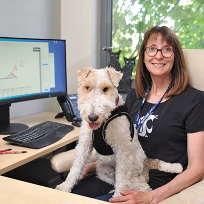 Image: A genetic mutation in dogs and cats can make some medications deadly, but WSU-developed testing helps owners know what's safe