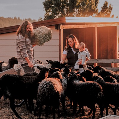 A kitchen remodel that's designed to be practical, rugged and still beautiful