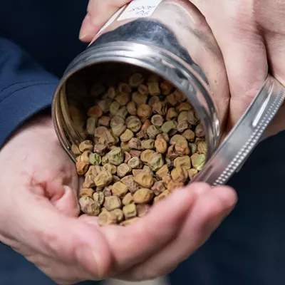 Image: A look inside Pullman's seed bank