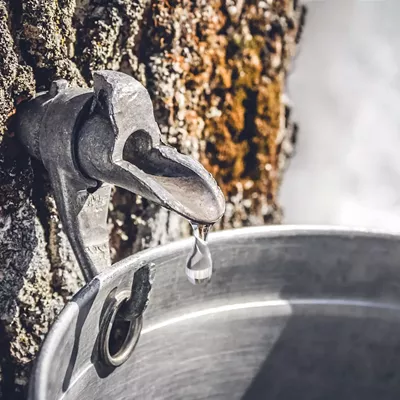 Image: A North Idaho couple creates and shares their love of maple syrup at Athol Orchards farm