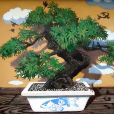 Image: Acrylic Painting
