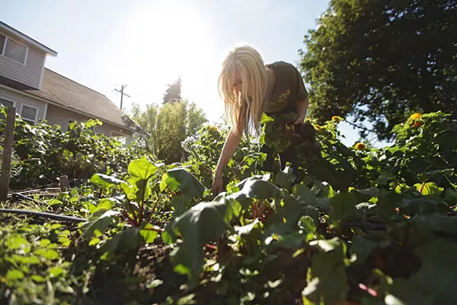 Adapting our food system to climate change is about more than just guacamole