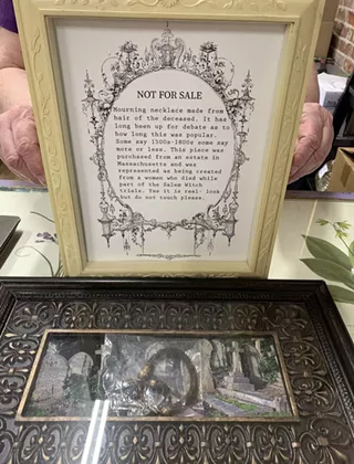 Image: Allyson's Amazing Cabinets of Curiosities Museum