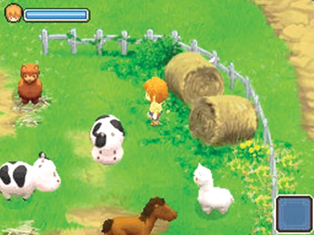 Harvest Moon: The Tale of Two Towns