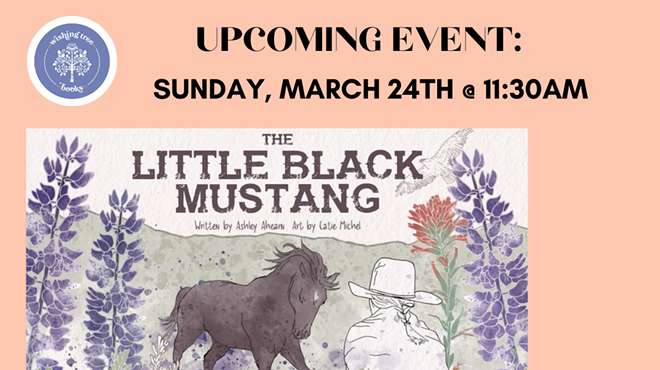 Ashley Ahearn: The Little Black Mustang