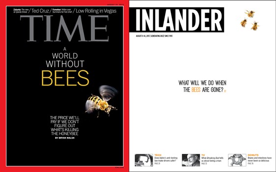 Bees: The Inlander vs. Time Magazine