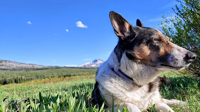 Image: Beloved companions, hard winters, and the flood of emotion that accompanies both