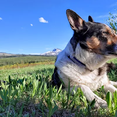 Image: Beloved companions, hard winters, and the flood of emotion that accompanies both