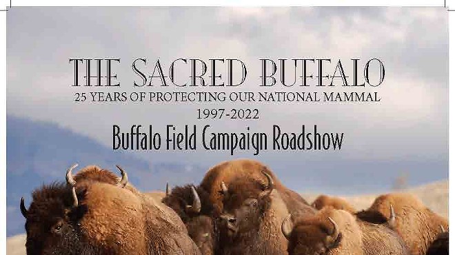Buffalo Field Campaign 25th Anniversary Roadshow