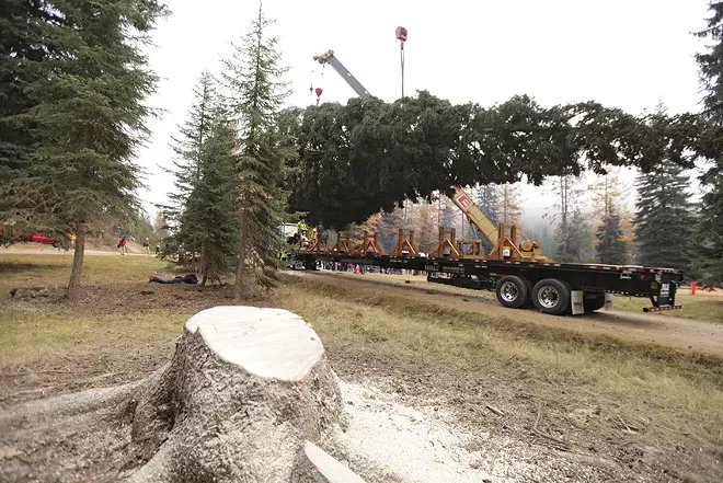 Capitol Christmas Tree Stops in Spokane