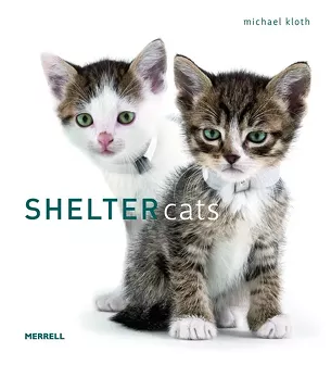 CAT FRIDAY: Books every cat lover should read