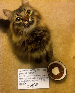 CAT FRIDAY: Cat Shaming