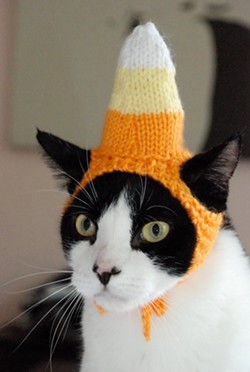 CAT FRIDAY: Cats in Hats