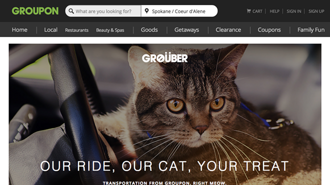 Image: CAT FRIDAY: Cats troll the world this April Fools', and we wish it was real