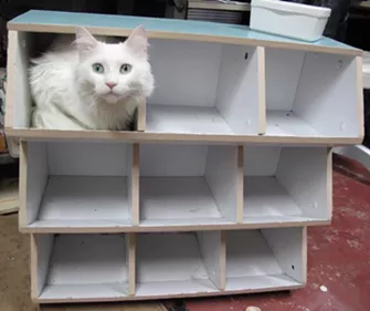 CAT FRIDAY: Meet the cats of Spokane Vintage Warehouse