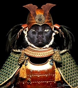 CAT FRIDAY: Samurai Cat Edition