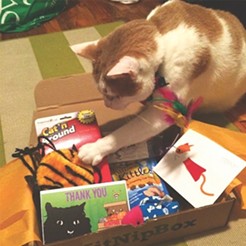 CAT FRIDAY: The best gifts of 2014 for the cats in your life