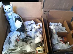 CAT FRIDAY: The Teal Cat Project is kitty cause you should know about