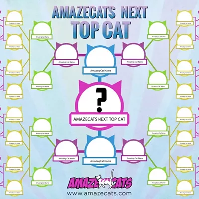 Image: CAT FRIDAY: Who's going to be the Internet's next famous cat?