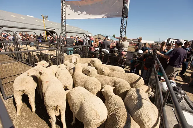 PHOTOS: Last Day at the Fair