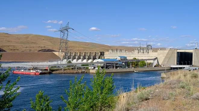 Image: Debate over the lower Snake River dams' removal has gone on for decades. What will it take to protect the river's health?