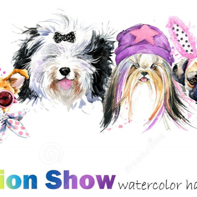 Image: DOG DAYS OF SUMMER CANINE FASHION SHOW