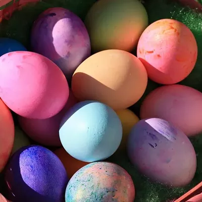Image: Easter Egg Hunt
