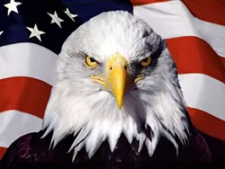 ELECTION DAY: Everything you need to know