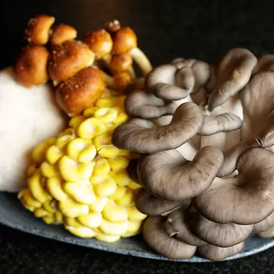 Image: Family-owned Gem State Mushrooms offers gourmet fungi to homecooks and professional chefs all year