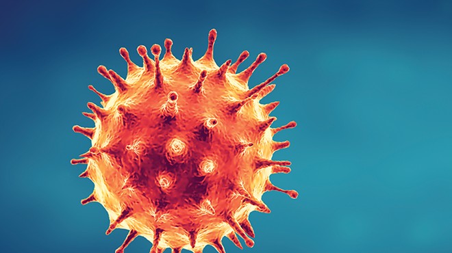 FAQs on Coronavirus