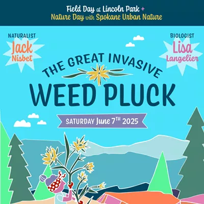 Image: Field Day at Lincoln Park