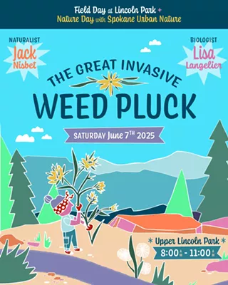 Image: Field Day at Lincoln Park: The Great Invasive Weed Pluck and Nature Day