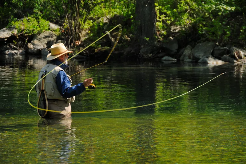 Fish On The Fly