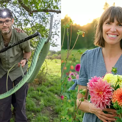 Image: "Figures" & "Follow The Blooms"