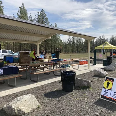 Image: Game Day at the Park, RSP Foundation Fundraising Event