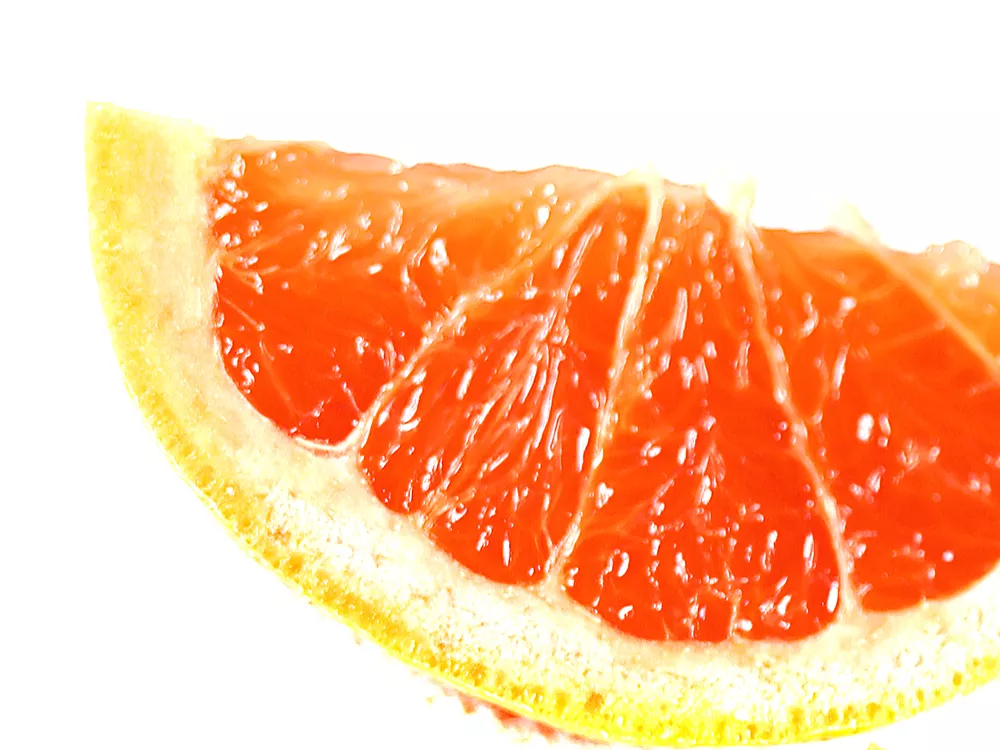 Fresh and Free