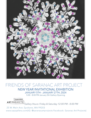 Image: Friends of Saranac Art Project